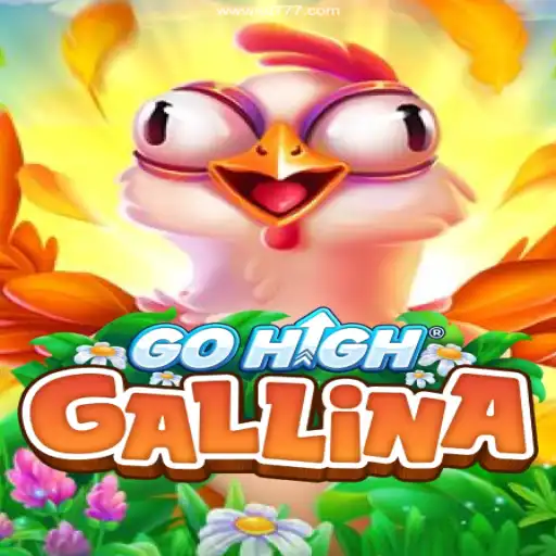 Exploring the Exciting World of GoHighGallina: A New Era of Online Gaming Entertainment